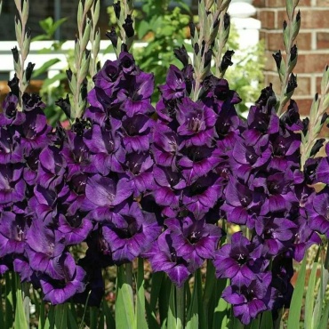 Фото 2