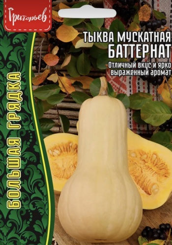 Григорьев тыква Мускатная Баттернат