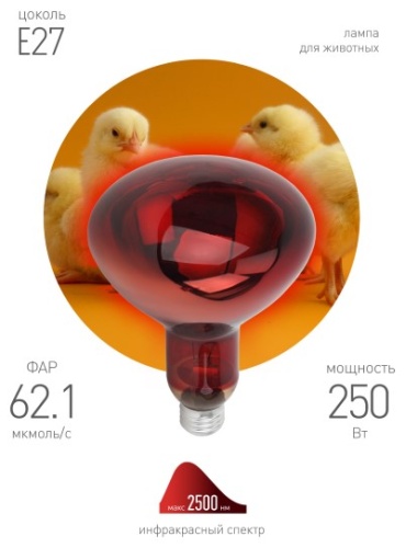 ЭРА 250W E27, инфракрасная, красный