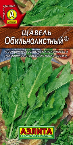 Аэлита щавель Обильнолистный