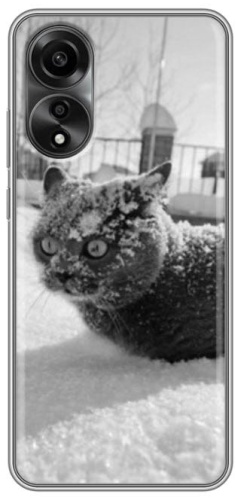 Чехол BAIKO для OPPO Reno 8T рисунок