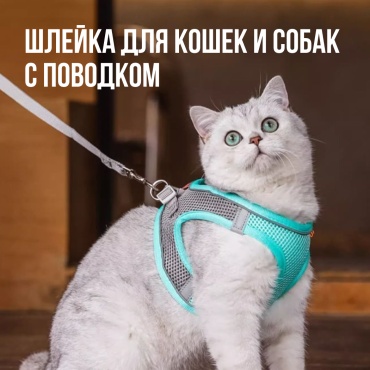 Шлейка с поводком для прогулки M бирюзовый