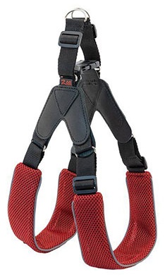 Дарэлл шлейка для прогулки M красный