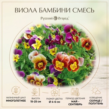 Русский огород виола Виола Бамбини смесь НК Ц
