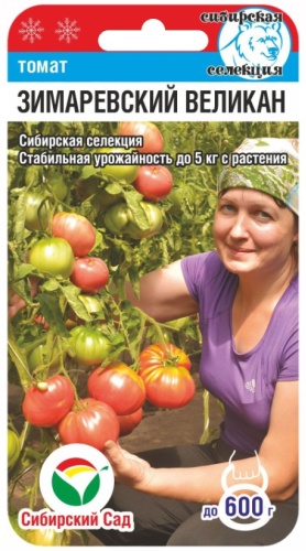 Сибирский сад томат Зимаревский великан