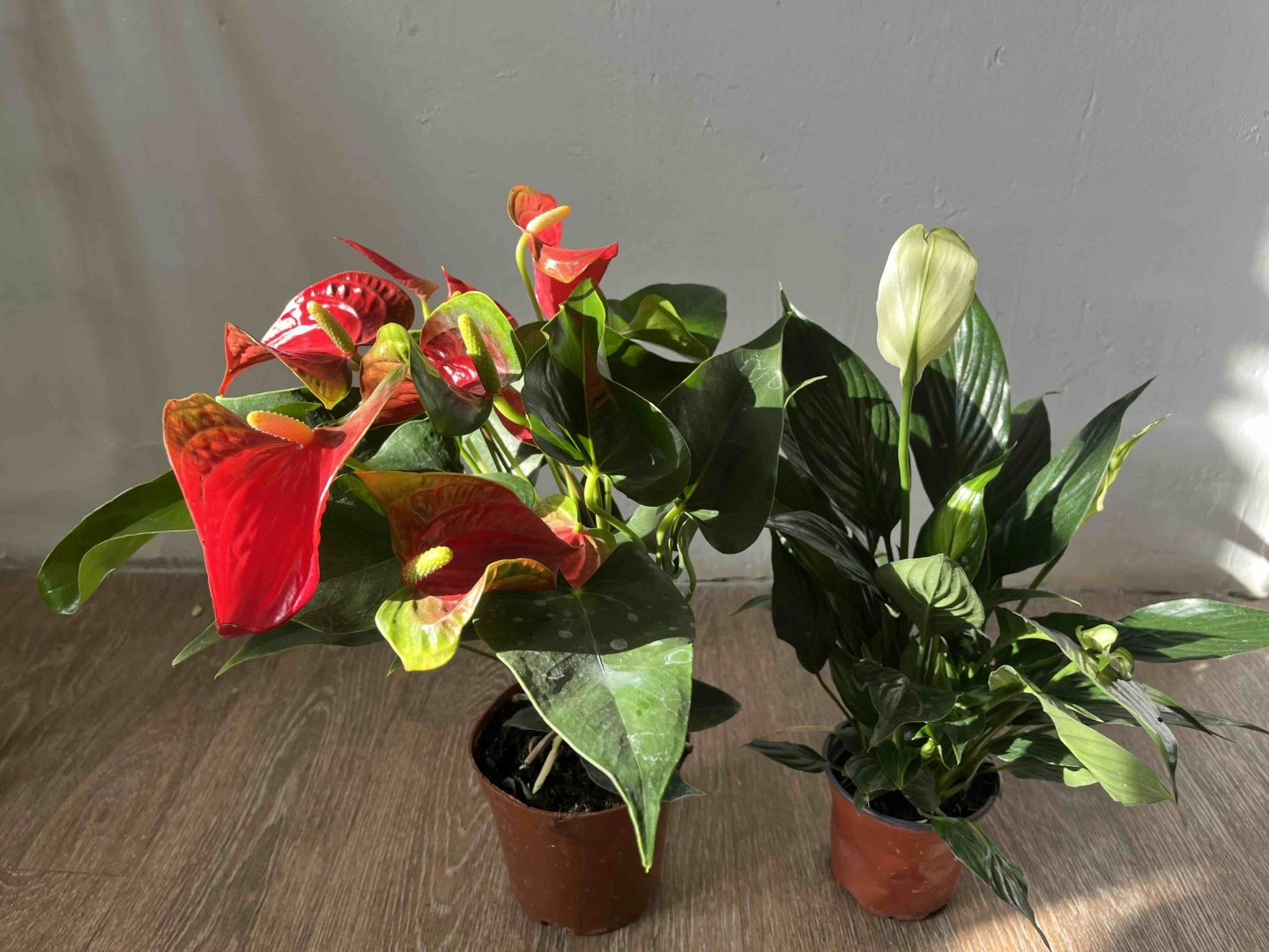 Фото 2