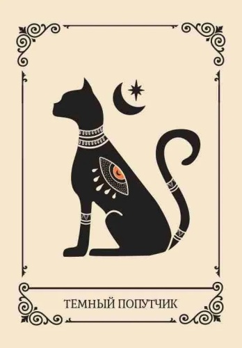 Фото 5