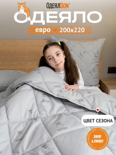 Одеяло Мягкий сон 212953977 200x220 всесезонное