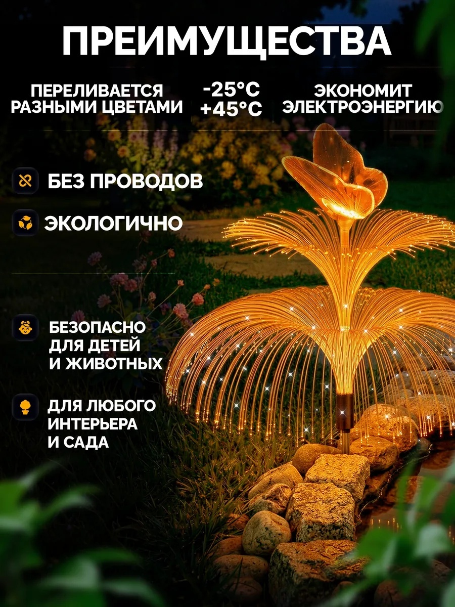 Фото 3
