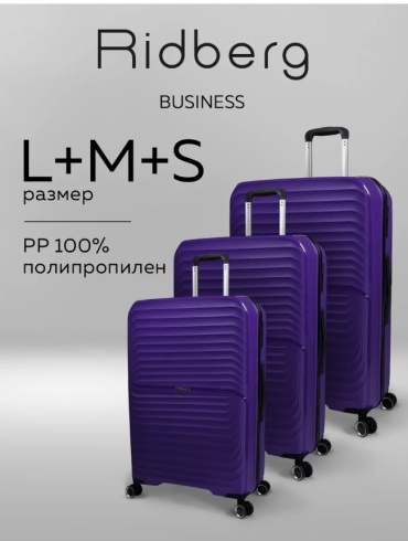 Комплект Ridberg 498156647 полипропилен 101 л фиолетовый