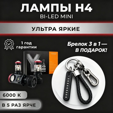 Y7 Z7819919 светодиодная H4, 2 шт
