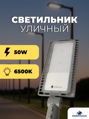 Уличный светильник на столбе / опоре EverestLed LED 100 Вт 60 см