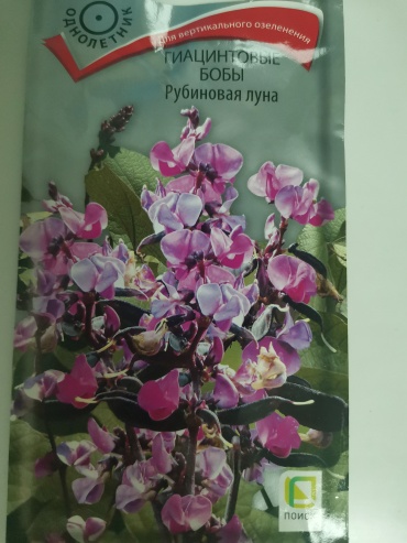 Поиск гиацинтовые бобы Рубиновая луна