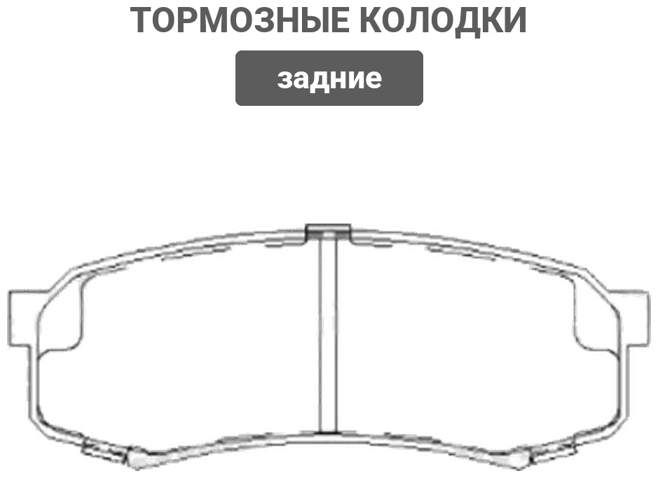 Колодки PATRON задние PBP1021
