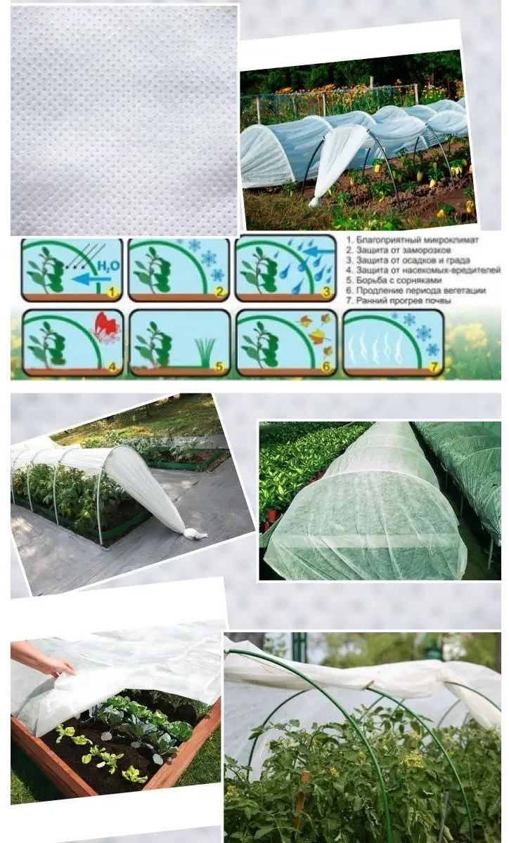 Фото 3