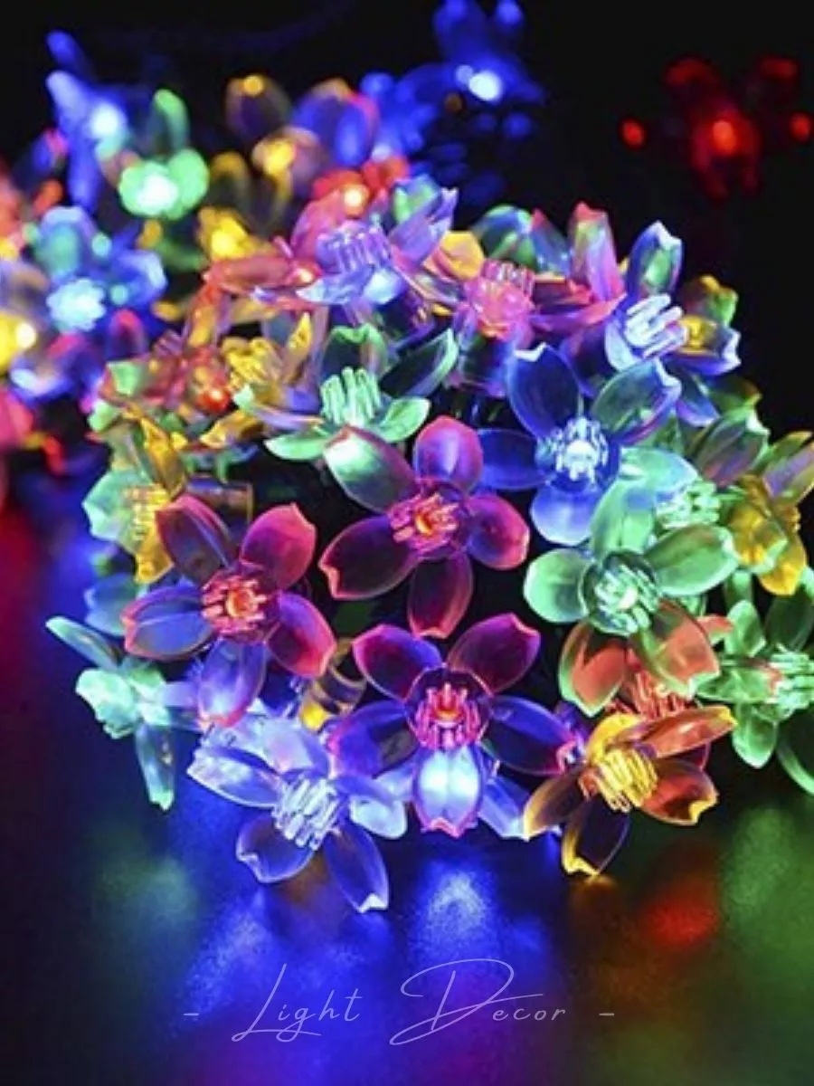 Фото 6