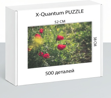 X-Quantum puzzle_z5tq7urovq классический 500 деталей