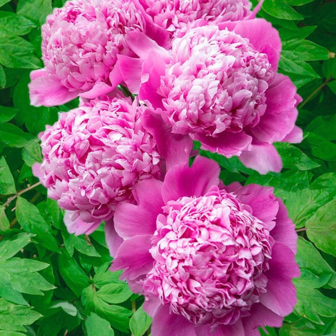 Фото 3