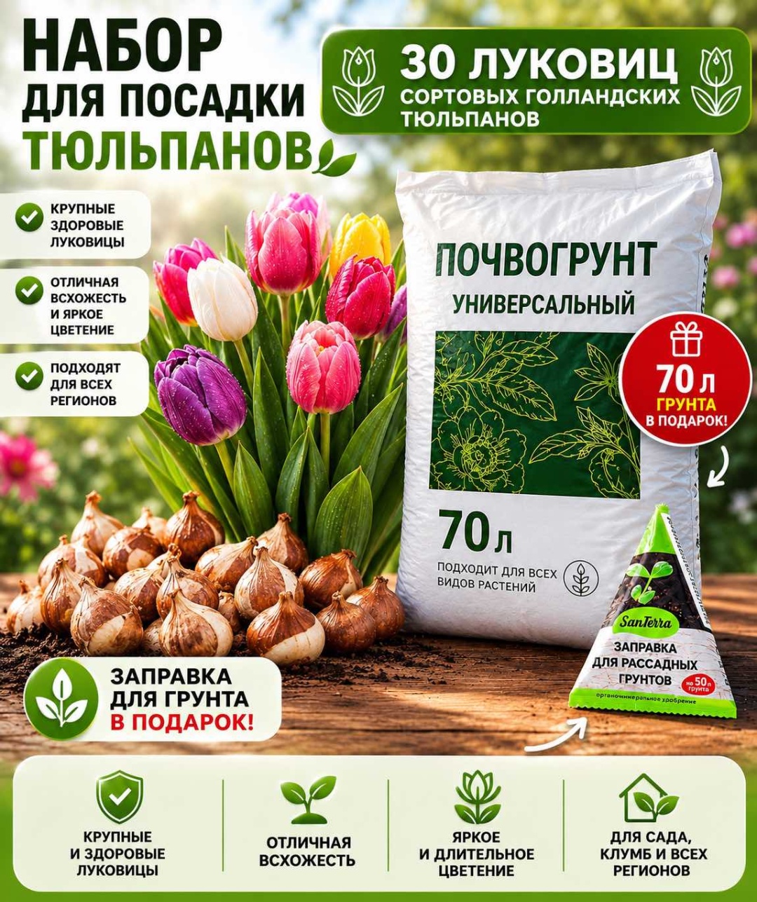 Тюльпан Сортовой микс