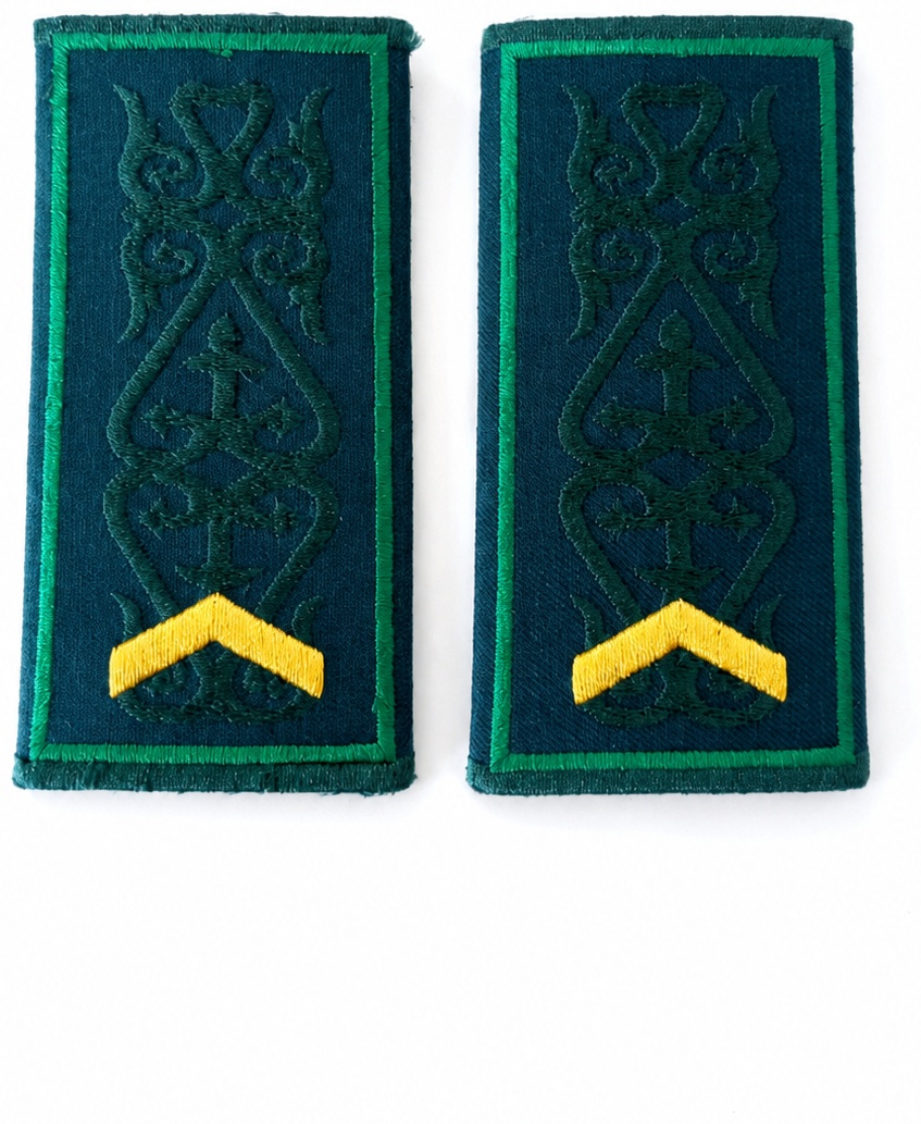 Погоны 30400124_778250121 военное дело зеленый