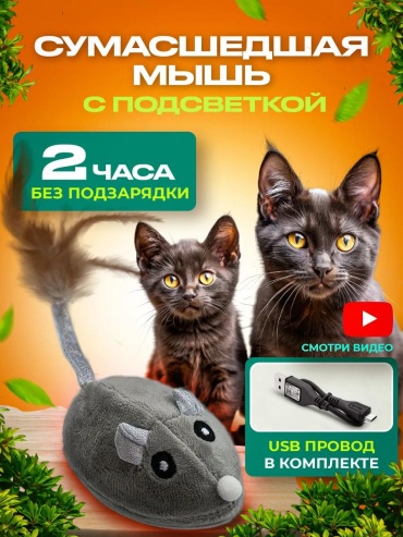 Дразнилка для зубов пластик