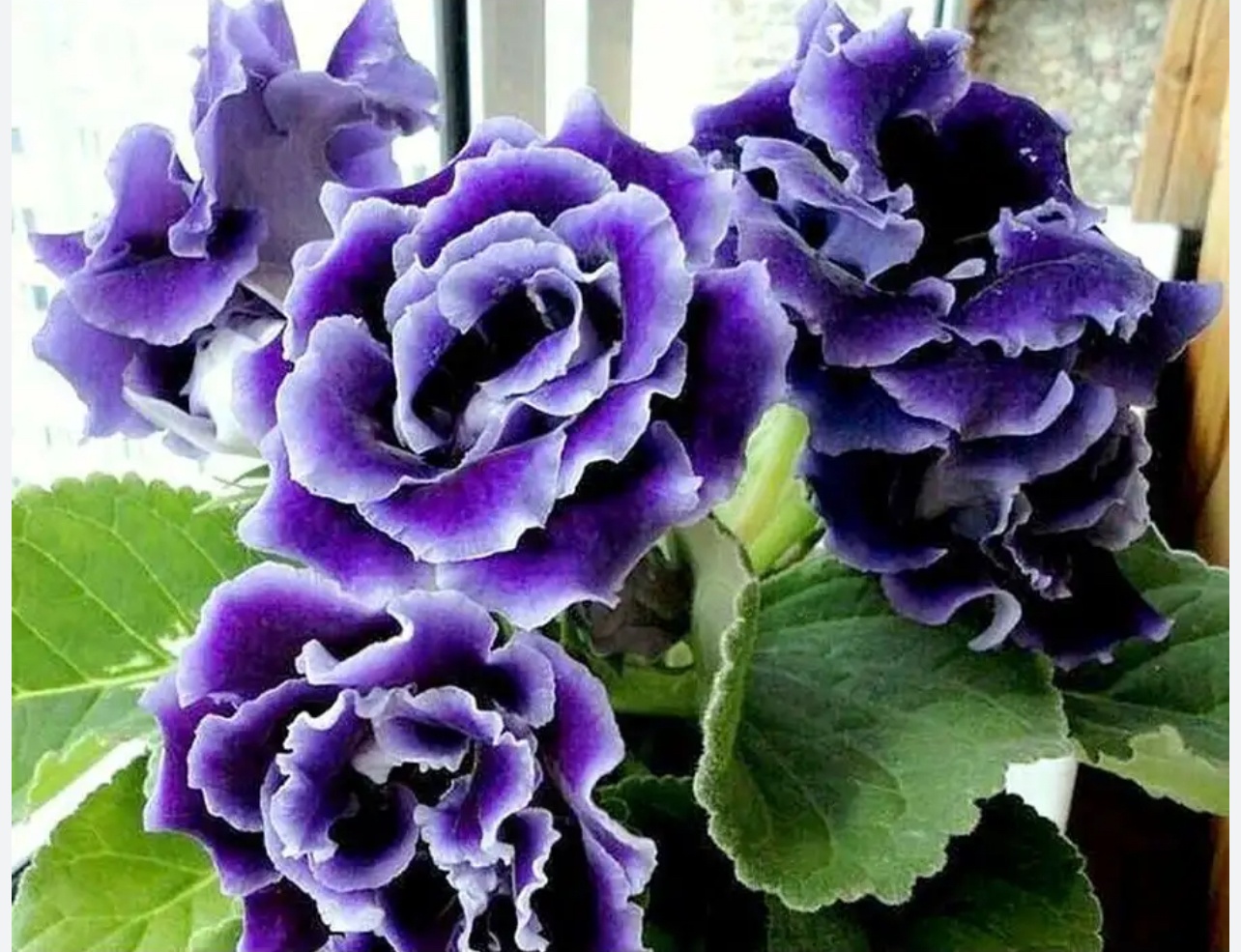 Фото 2