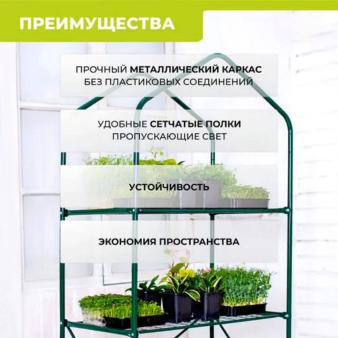 Фото 3