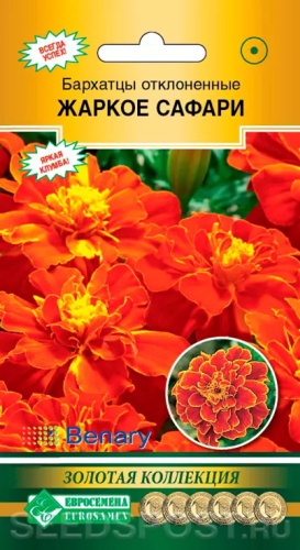 Фото 2