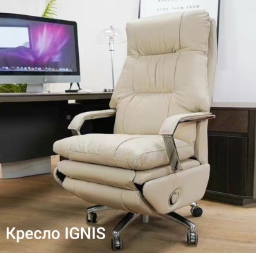 Офисное кресло IGNIS, бежевый