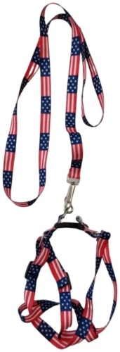 Pet Fashion шлейка с поводком для прогулки S красный, синий