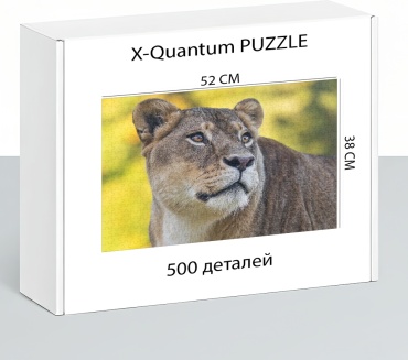 X-Quantum puzzle_jcf2ntzz4n классический 500 деталей