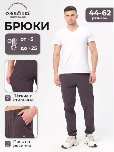 Повседневные брюки CosmoTex серый