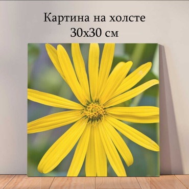 Quantum картина Растения и цветы 30x30 см