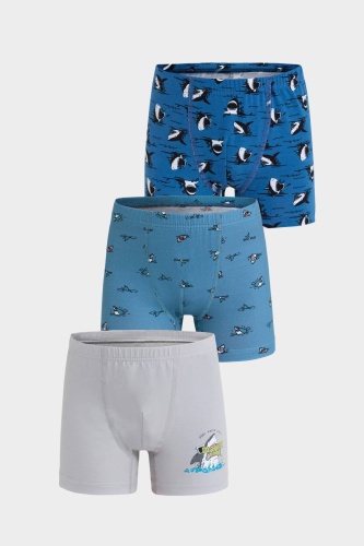 Боксеры Berrak collection мультиколор