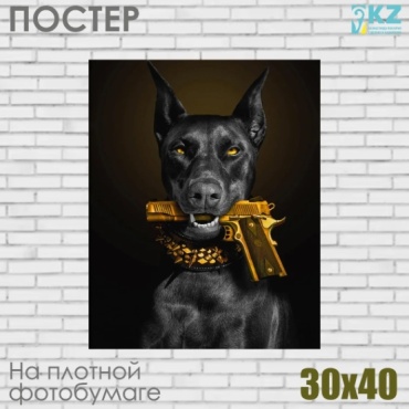 Постер Доберман с золотым пистолетом 30x40 см