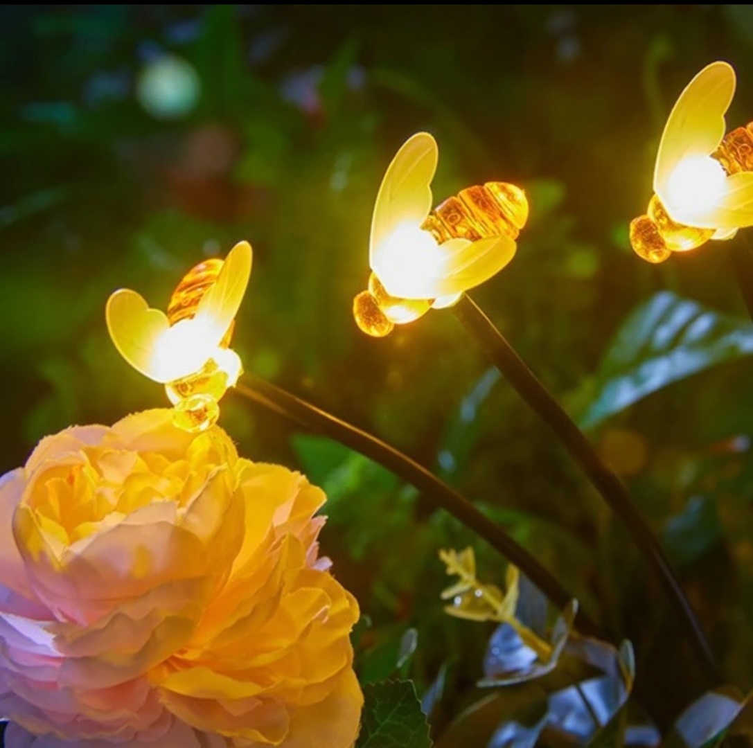 Фото 3