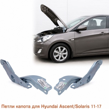 TAIWAN петля HY033-228A-LR Hyundai Accent