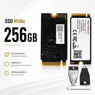 SSD Union Memory AM6B0 256 Гб