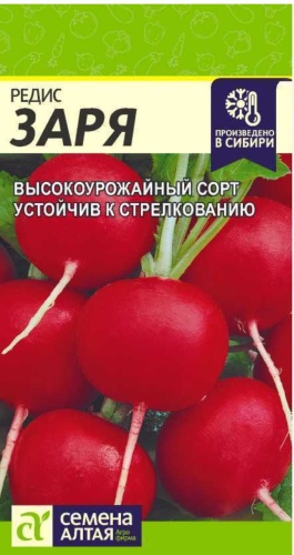 Редис Заря