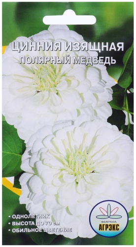 Агрэкс цинния Полярный медведь