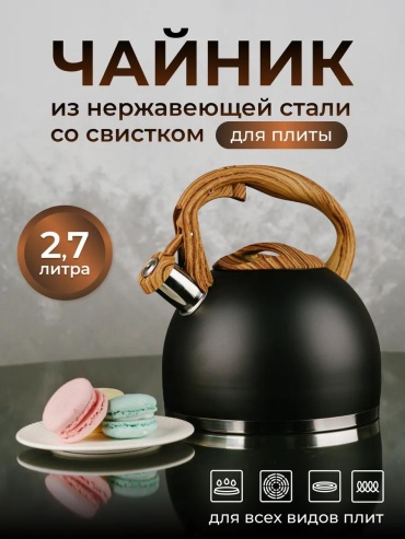 Astix чайник 220360263 2.7 л, сталь