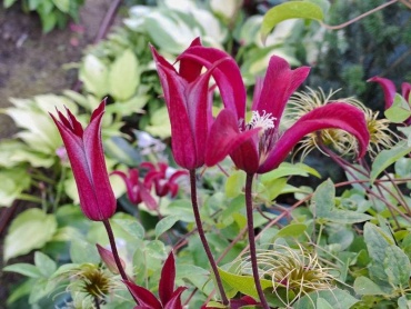 Фото 3
