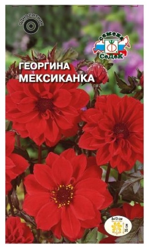 СеДеК георгина Мексиканка