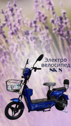 SK8, 2025, 16 дюйм , 800W, ZhB 16 дюйм 2025 one size синий