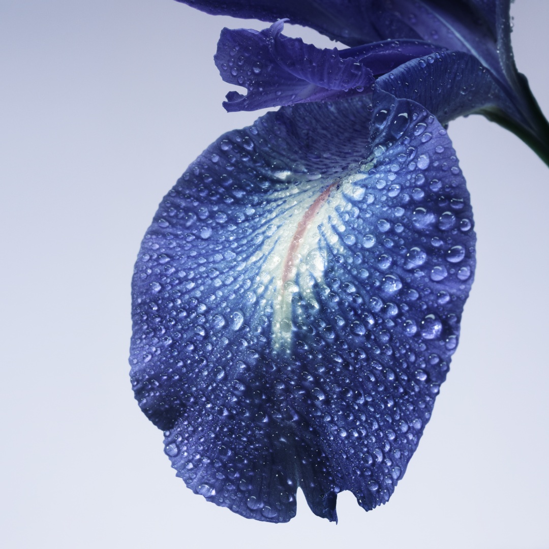 Фото 8