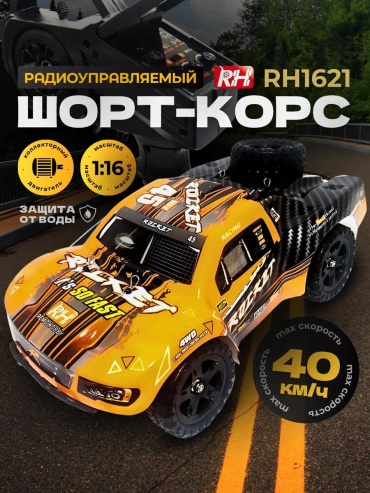 Машинка на радиоуправлении 77146C795259F82E