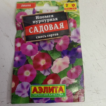 Аэлита ипомея Лиана