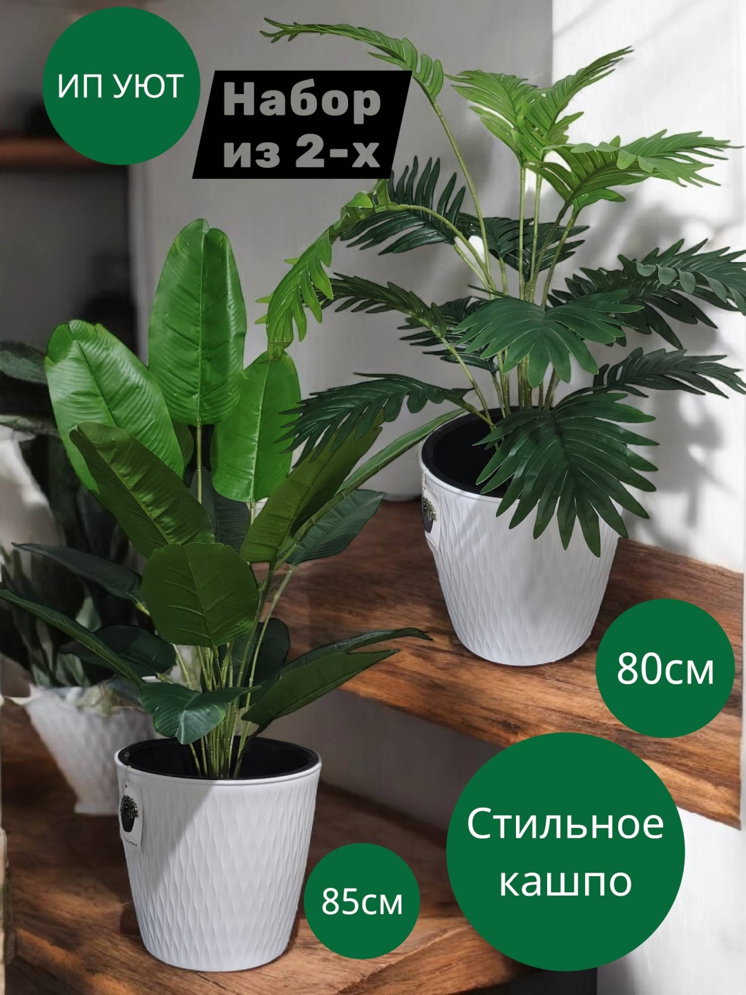 Дерево пальма хамедорея, стрелиция 85 см, 30373522_478549958