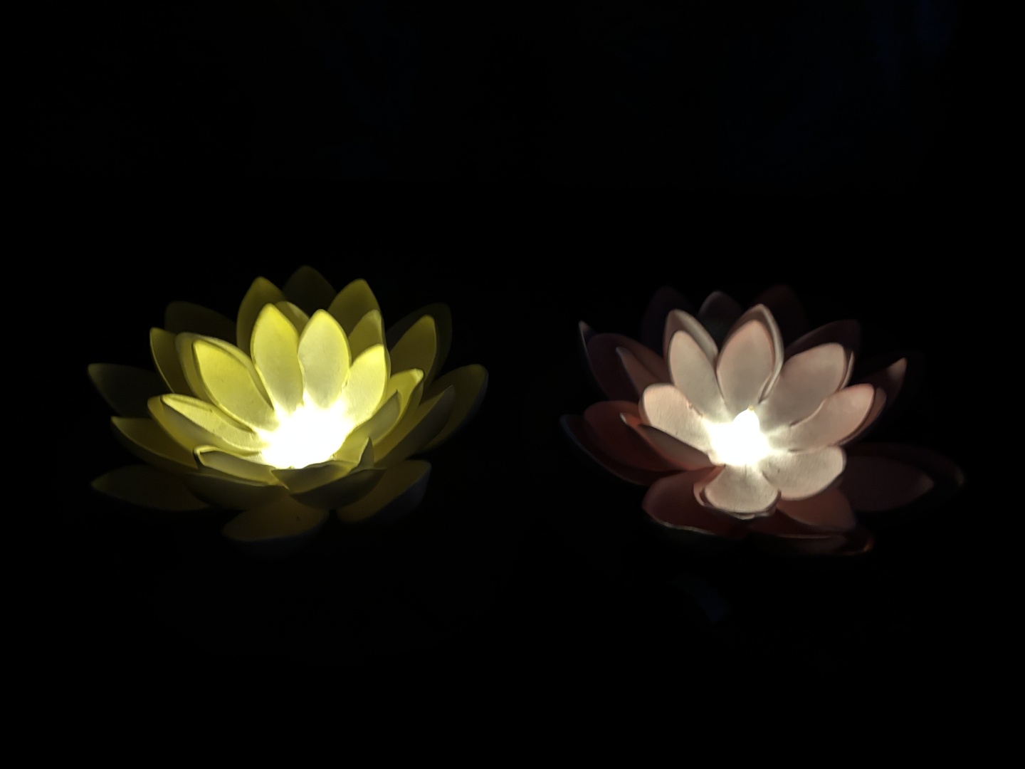 Фото 2