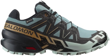 Кроссовки Salomon Speedcross 6 GTX мультиколор